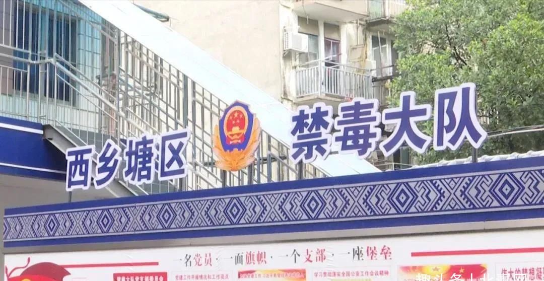  西乡塘公安分局禁毒|甘蔗地里上演惊险追击战！结局是......