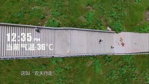  选错|为何《中餐厅》刚播2期就被喷？网友直言，赵丽颖选错综艺