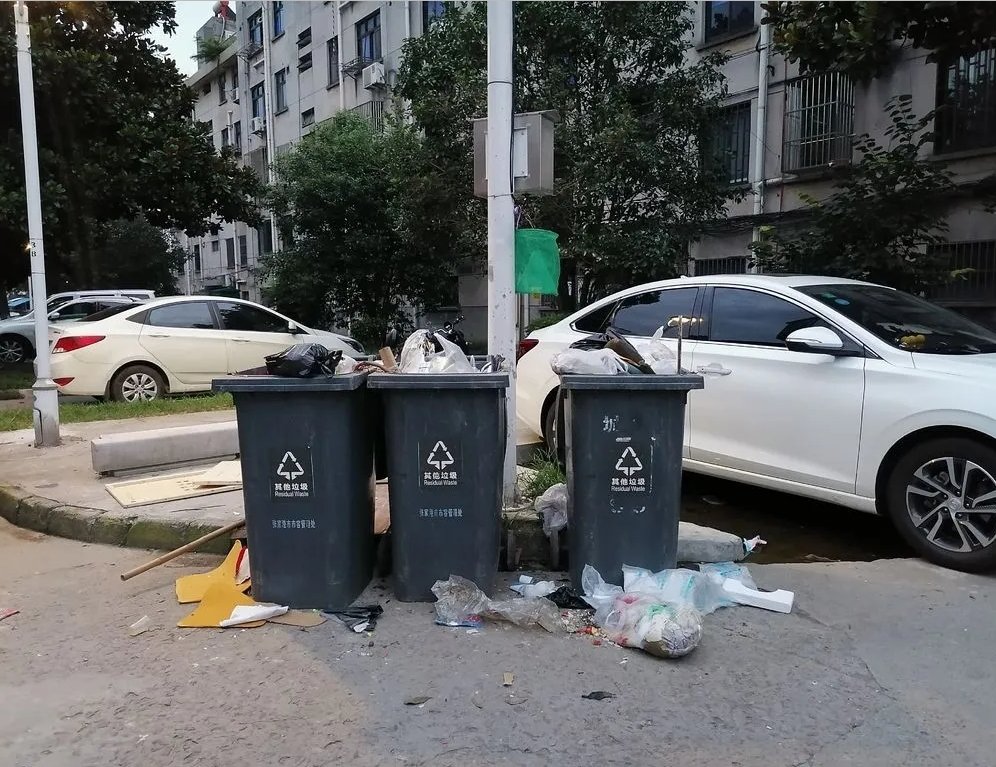 共享|争做城市“啄木鸟”,共享幸福单县城!