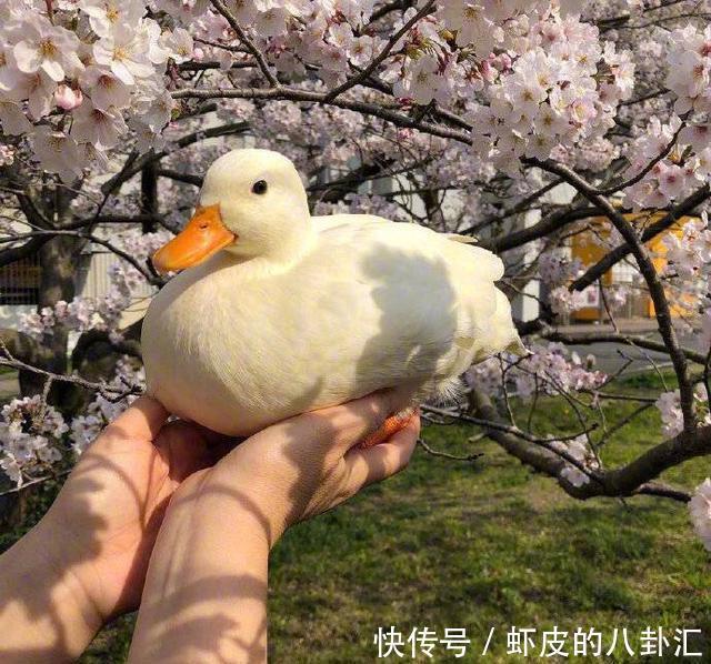 人生|启迪人生的经典说说,精辟有内涵,值得分享!