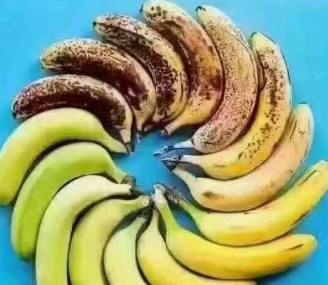 水果拼盘|入秋后水果大丰收,遇到这3种水果再便宜也不买,老板自己都不吃