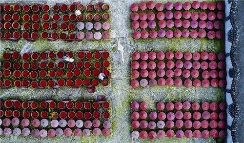  来凤鱼|游走成渝古驿道 怎能少了这些美食