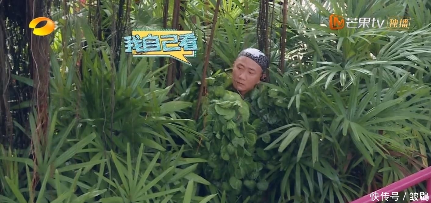 综艺|今年最好笑的综艺!胡军杨洋领着一群男人天南海北地玩捉迷藏