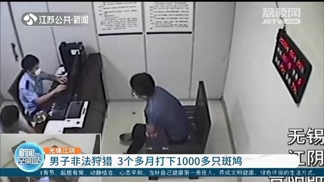 饭店|男子3个多月非法狩猎1000多只斑鸠 民警：20只就构成刑事处罚