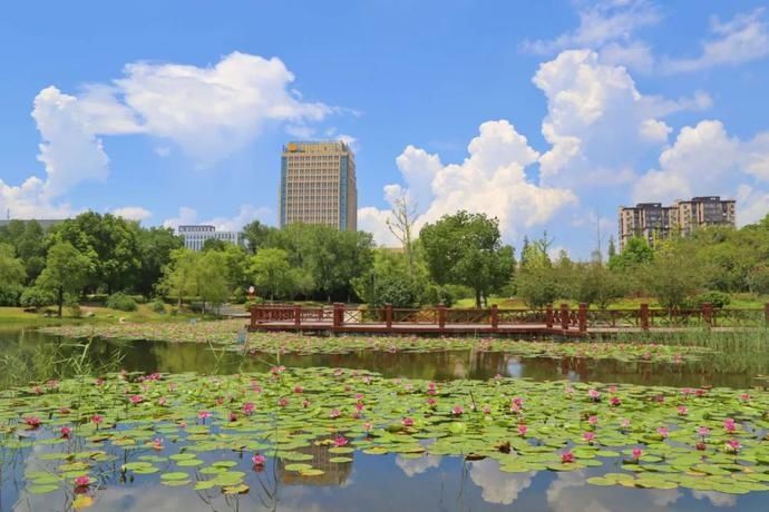  家乡|夏日来袭，这些家乡美景你GET了吗？