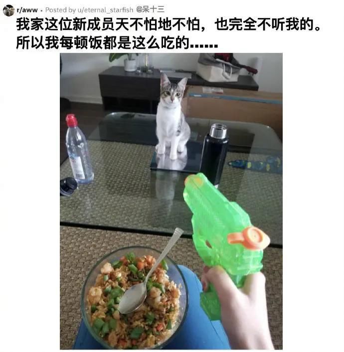  理工|理工男的寻物启事