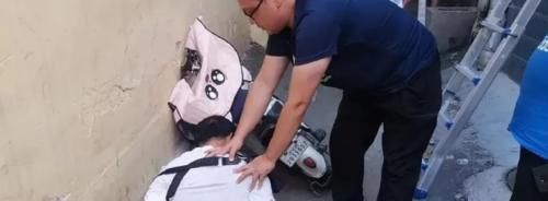 男子|“看到电动车就想偷”,无业男子偷电动车上瘾,真实学历让人吃惊