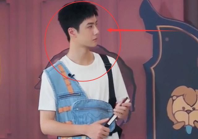  滤镜|王一博参加直播活动，没有了综艺顶级滤镜，王一博形象颜值很真实