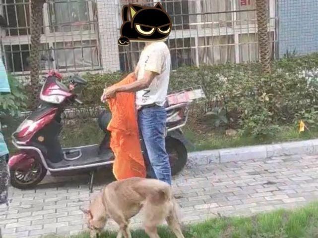 文明|处置不文明养犬行为，警方不打烊！