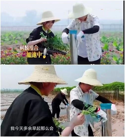  节目|节目中情商高，荧幕后家教好，星二代郭麒麟为啥这么招人喜欢？