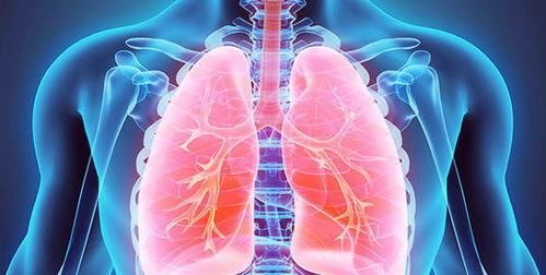 肺细胞|肺的临床生物化学