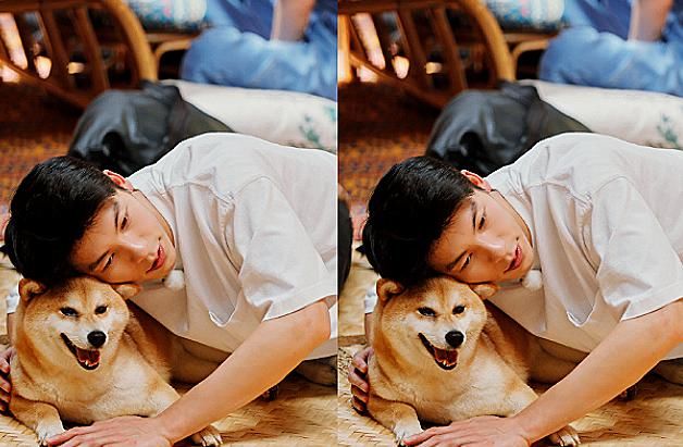  洗漱|难怪《向往》不拍嘉宾洗漱，看到卫生间的环境，谁能待得下去啊