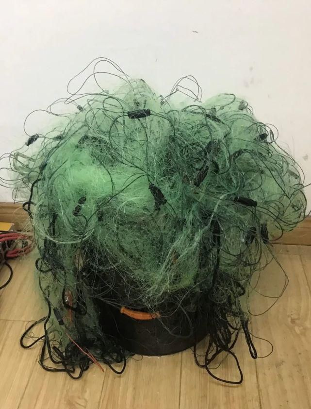 渔业|@南通人 有奖举报,最高奖2万!