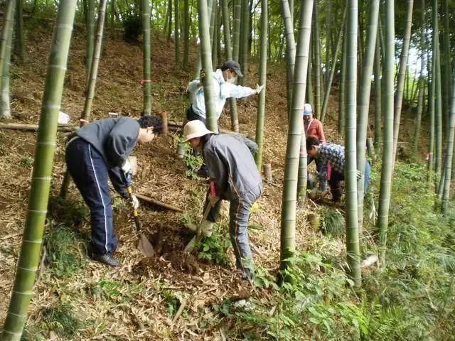  离奇失踪|5岁女孩离奇失踪，警犬表现异常诡异，3000多人搜寻无果！