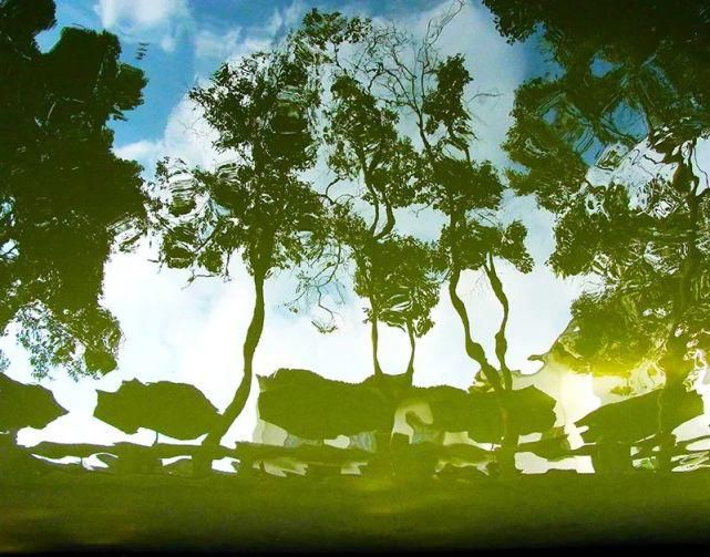  遐想|【视觉影像】津门网陈盈国：《界》遐想摄影展