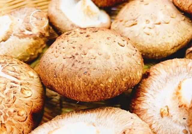 老板|买香菇时,碰到这4种香菇我扭头就走,老板说这人是真正的行家