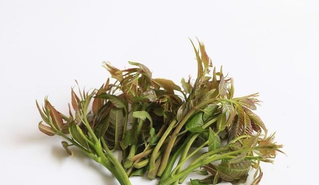  幸运|吃香椿时，你想要焯水？幸运的是，我早就知道了，再也不敢做了