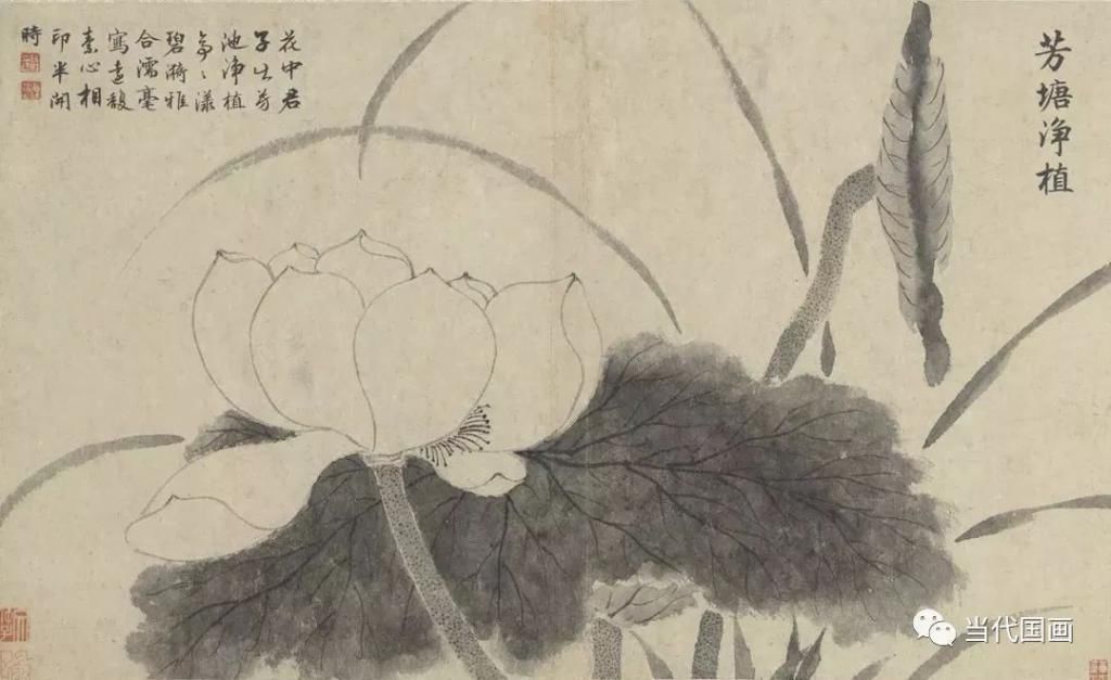 欣赏|明 文徵明 花卉册页欣赏