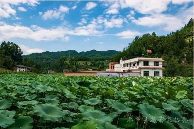 小镇|100个清凉小镇公布!奉节有5个乡镇入选,看看有没有你的老家?