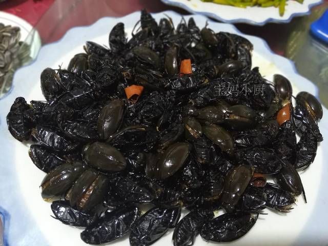  几道菜|去内蒙别光吃羊肉，这几道菜错过太可惜，最后一个好多人不敢吃