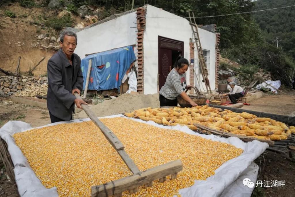 淅川|淅川脱贫档案解密:贾小民的脱贫之路