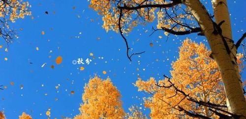  轻松|秋分，气温渐凉，做三件事就能轻松度过每一天