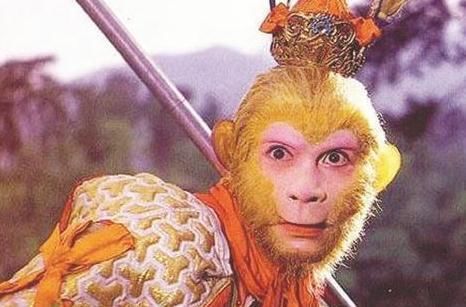  上天|猪八戒为何从不敢上天搬救兵？与孙悟空相比，他还少了一个授权？