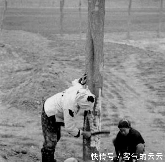 掺沙子|和珅曾往赈济灾民的粥中掺沙子, 缘何百姓还十分感激他? 说他不坏