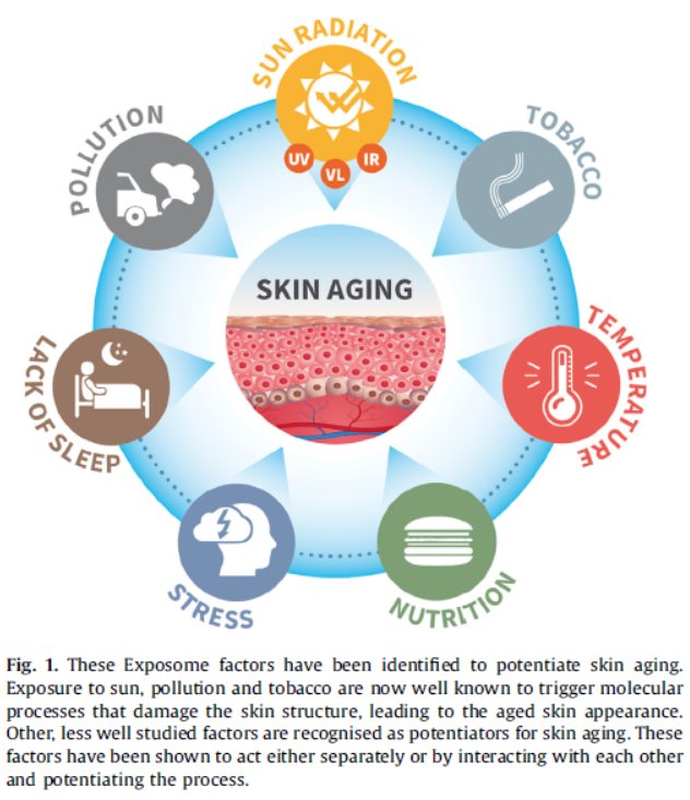 摇钱树|小S“摇钱树”计划稳了！母女同登封面似姐妹这是医美的力量？