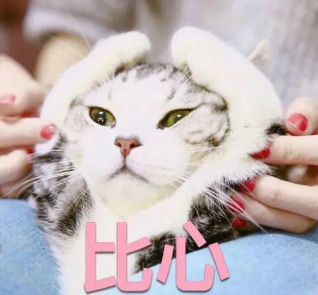 轻生|女孩跳河欲轻生,民警:我陪你一起死!