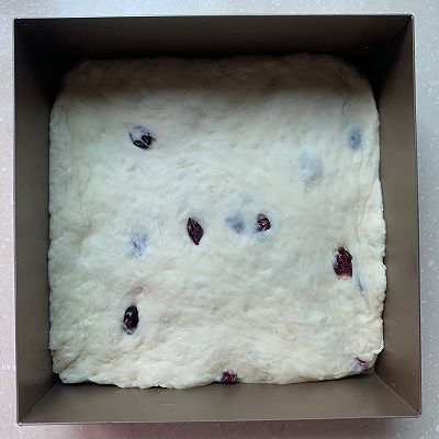  面包|卡士达蔓越莓面包