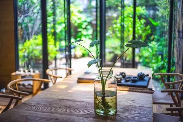 茶室|老了,我希望有这么一间茶室