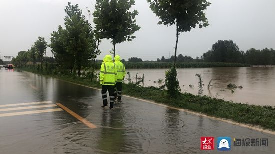  现场|大众网·海报新闻记者赶赴汛情现场！部分农田被雨水淹没！