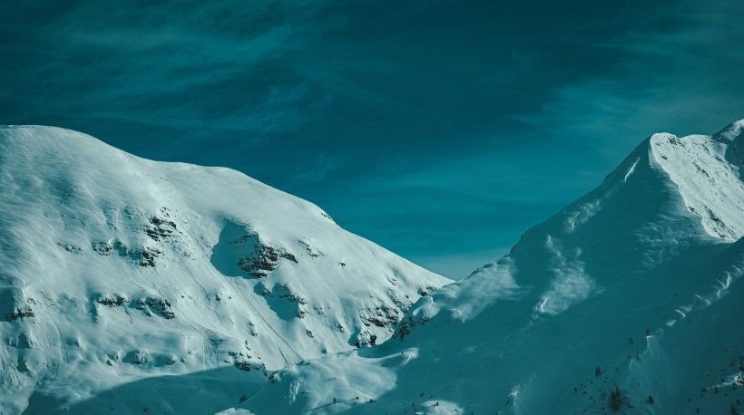  生肖|八月初期，会走“狗屎运”的4大生肖，爱情事业齐登门，喜事连连