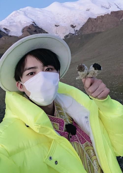 节目|刘宇宁为采摘雪莲花道歉,澄清为节目道具,没想到被专家打脸