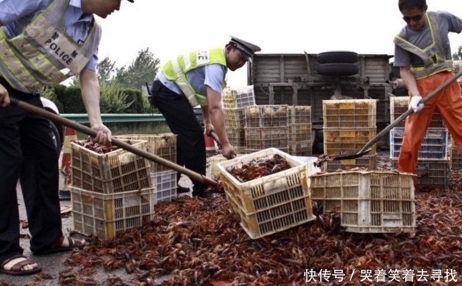  路上|高速路上出现翻车事故，当高速交警赶到时，被眼前这画面惊呆了