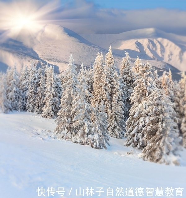 德慧|德慧沉思录之五七二《得失论》