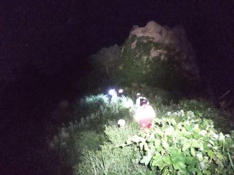  当晚|四人一狗被困三标山，饥渴难耐！救援队砍刀开路，连夜搜救