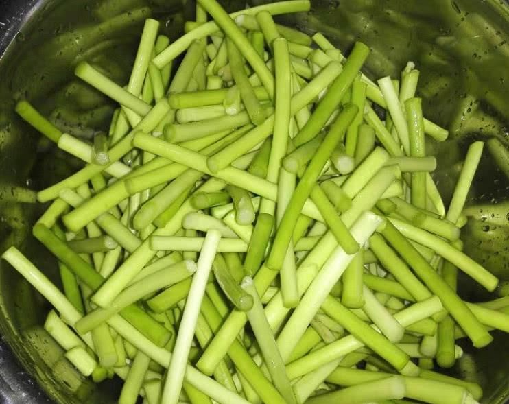 蒜台中|这菜一周吃3次,孩子体质好不生病,女生降脂洁胃,5块钱炒一盘