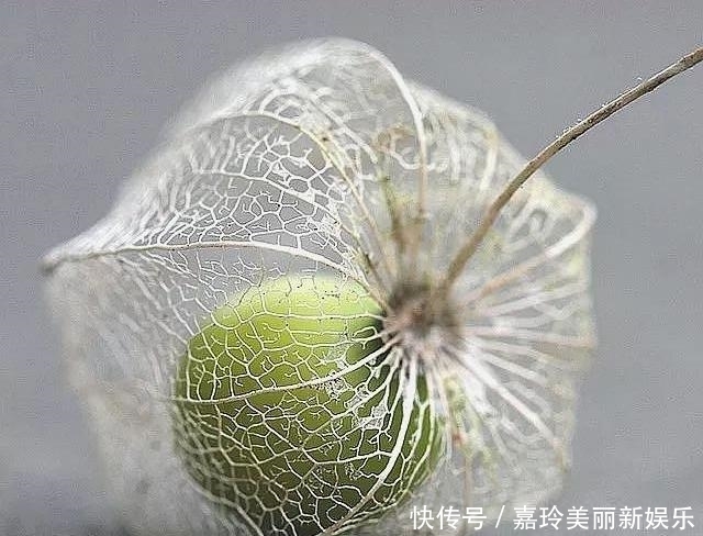 相伴|再爱一个人,若今生无缘相伴夫妻,最好这样做