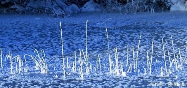  钓鱼|钓鱼：降温、下雨后，鱼情就差？