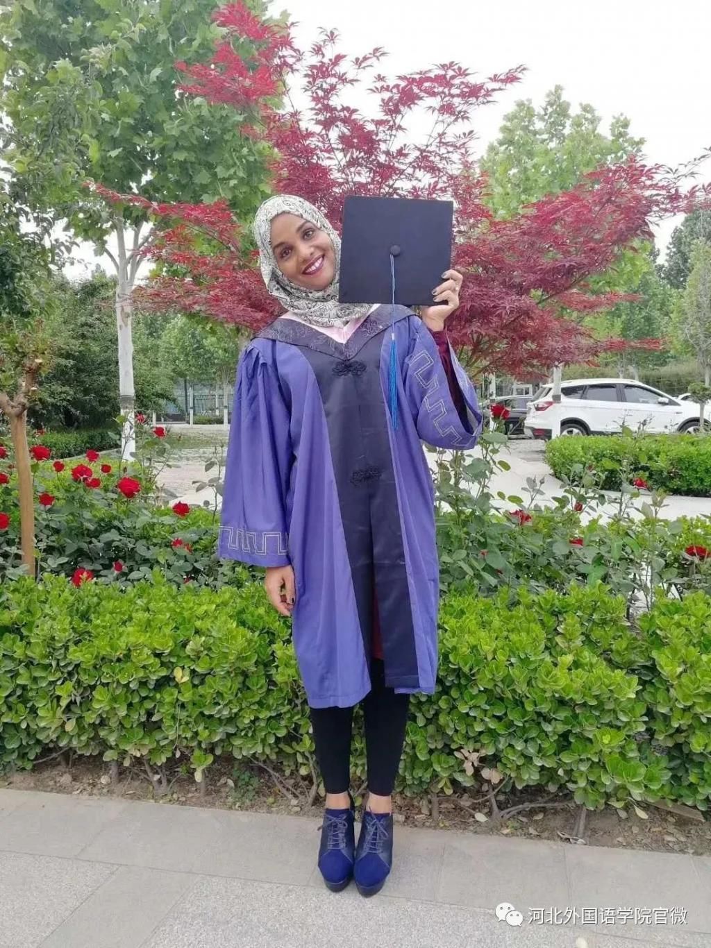  淘金|学习阿拉伯语，带你一起中东淘金