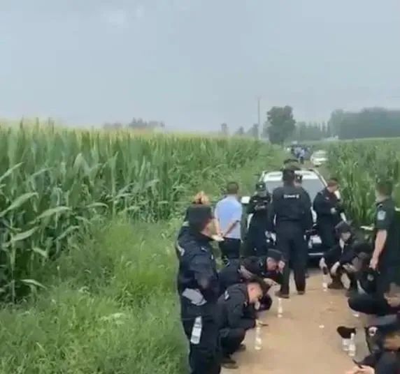 遭绑架|河北一女孩遭绑架撕票,嫌犯已被抓获