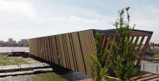  网红|【探索】滴水湖4座“网红”景观桥亮灯啦！快来先睹为快