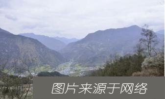  地址|追求美食梦想，不少人看出李子柒的地址，原来是住在四川平武