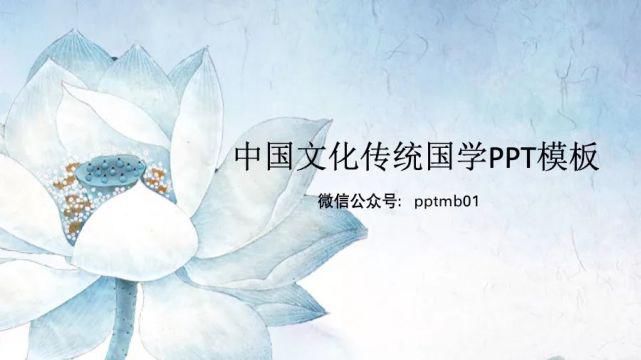  淡雅|淡雅荷花中国文化传统国学PPT模板