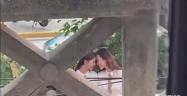  日报|娱乐日报|毛晓彤新恋情曝光？金晨汪汐潮再被拍？孟佳solo倒数第一？