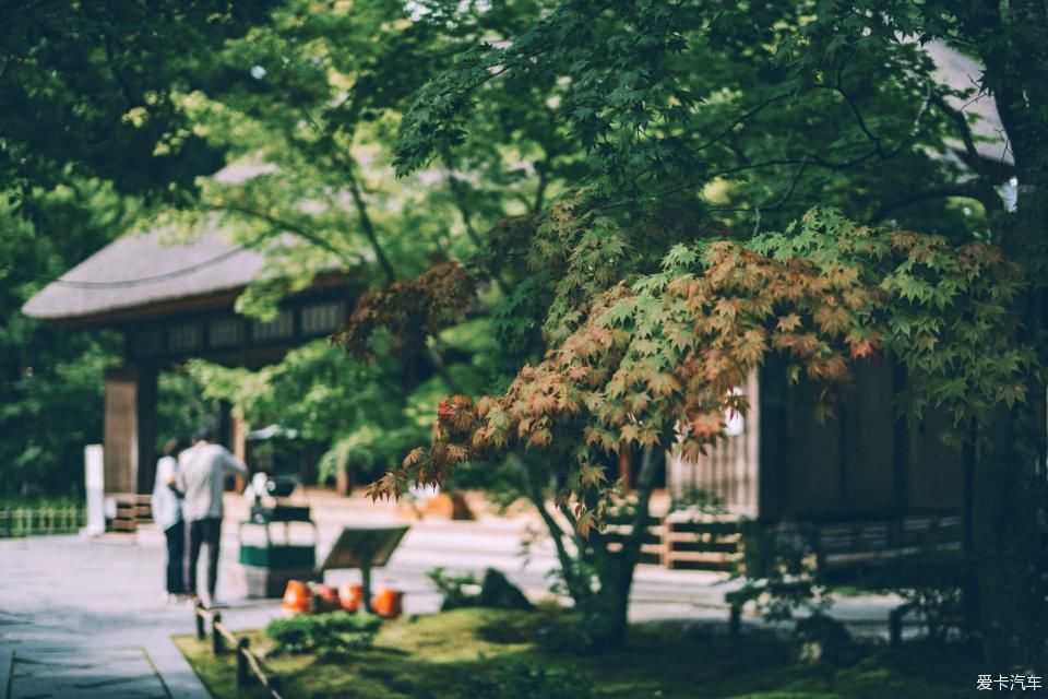 解锁|去鲁迅先生留学的仙台看一看——解锁日本小众目的地