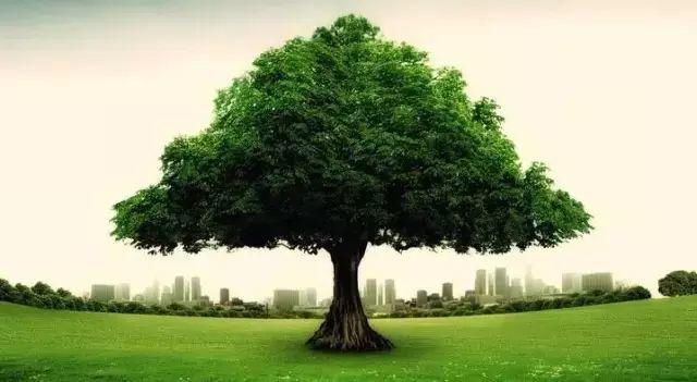  工资|10个矿老板，9个都是苦出来的！