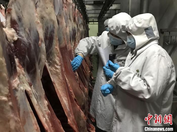 甘肃一季度冷冻羊肉产品出口同比增4倍：需求订单持续激增